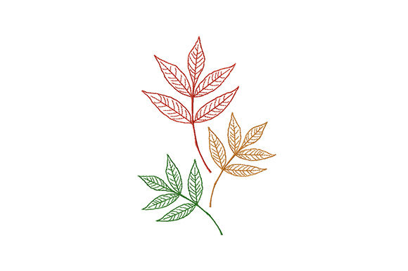 Colorful Autumn Leaves